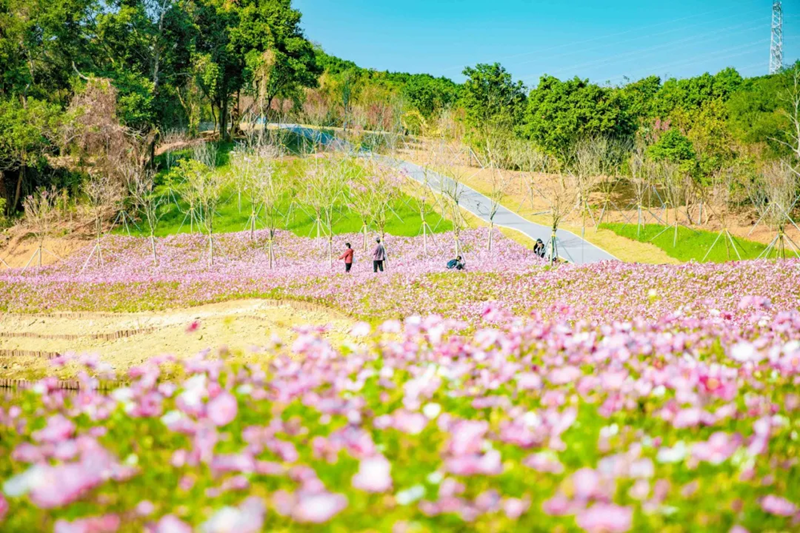 半山公園風景圖 (1).png