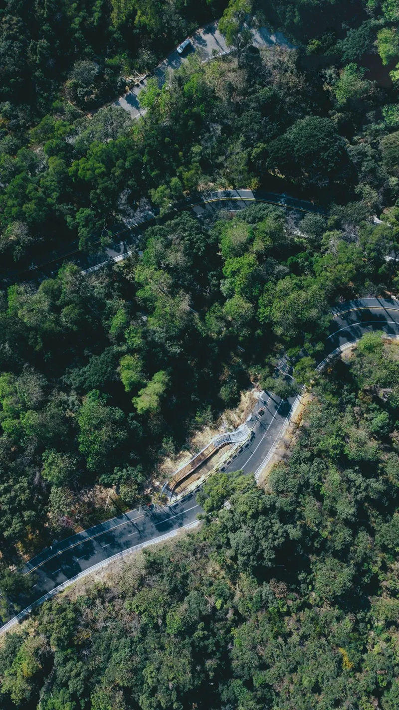 半山公園風(fēng)景圖 (7).jpg