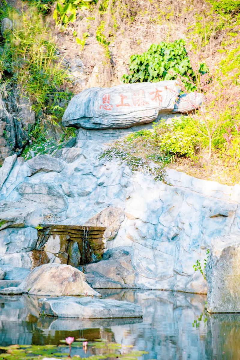 半山公園風景圖 (9).jpg