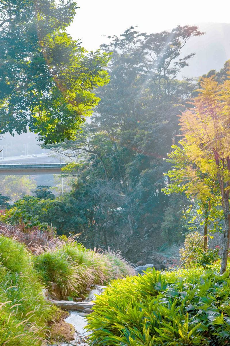 半山公園風(fēng)景圖 (10).jpg