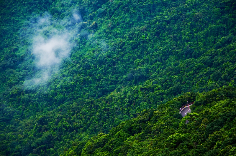 《天然氧吧梧桐山》，鄧飛.jpg