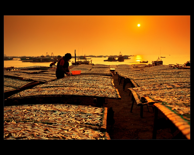 夕照曬魚(yú)場(chǎng)(組照一）